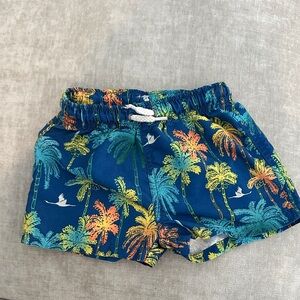 Zara Blue Tropical Print Swim Shorts